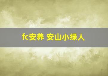 fc安养 安山小绿人